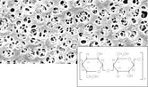 Regenerated Cellulose Membrane Filters / Type 18406, 0.45 µm pore size, 47 mm diameter, 1000 pieces per pack